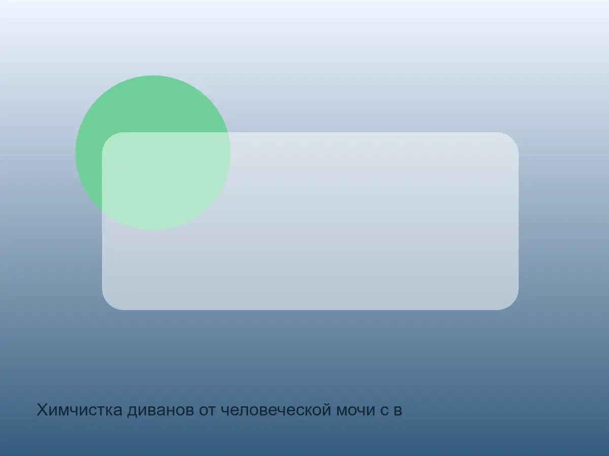 диван с пятном мочи перед обработкой