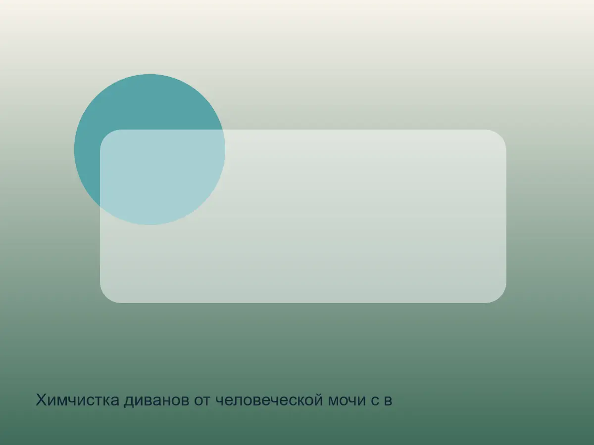 диван после удаления запаха мочи