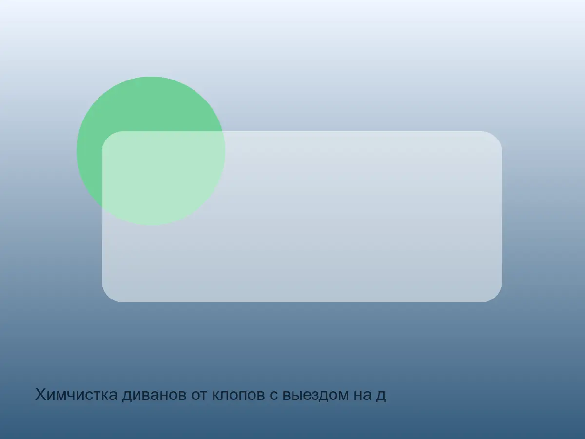 диван после клопов перед химчисткой