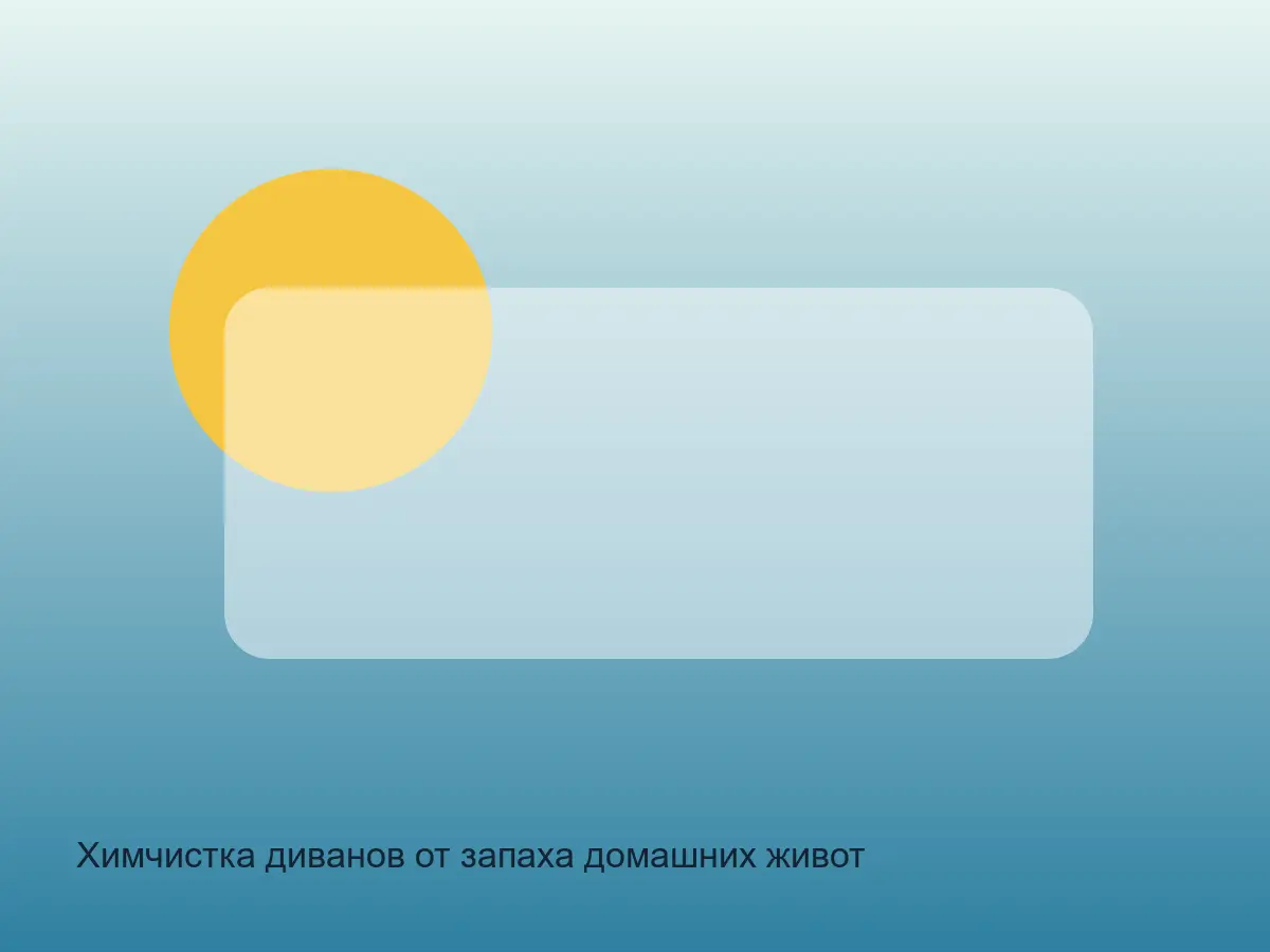 диван с запахом домашних животных перед чисткой