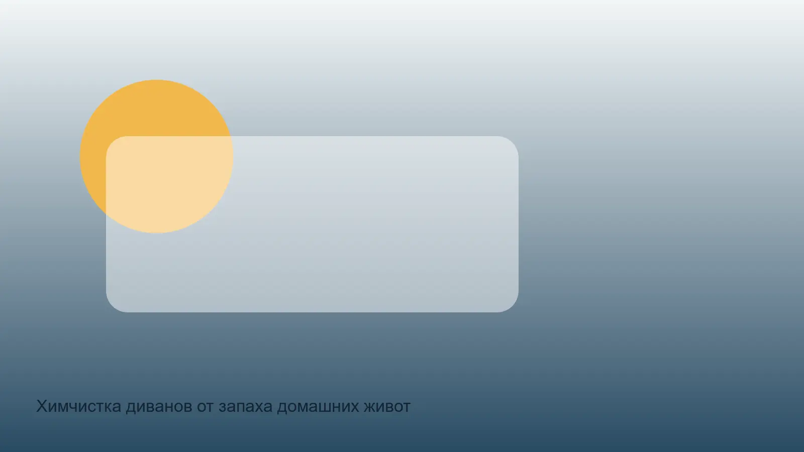 диван с запахом домашних животных перед химчисткой