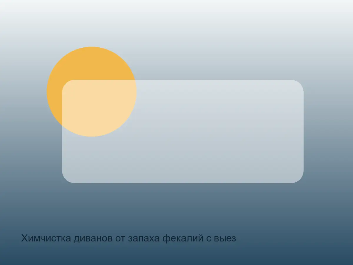 диван перед локальной чисткой от органического запаха