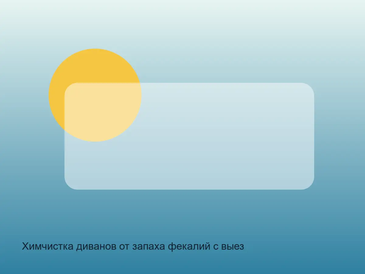 диван после чистки от запаха фекалий