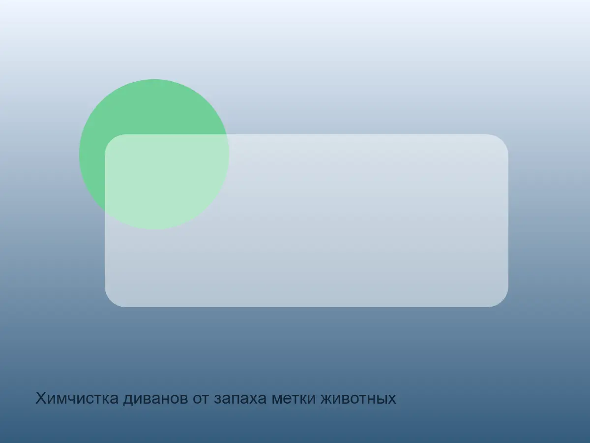 диван с запахом метки животного перед чисткой