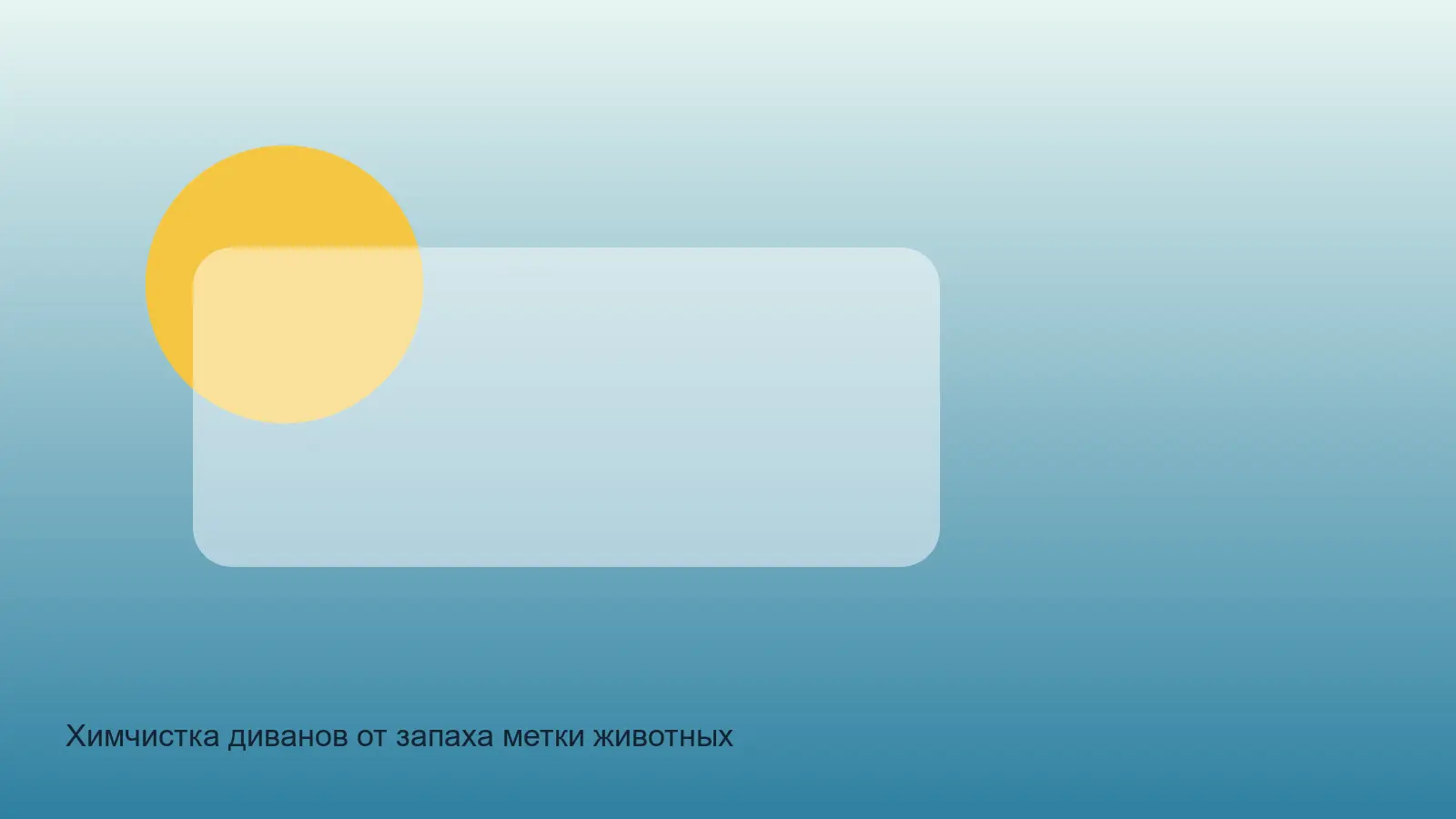диван с запахом метки животного перед чисткой