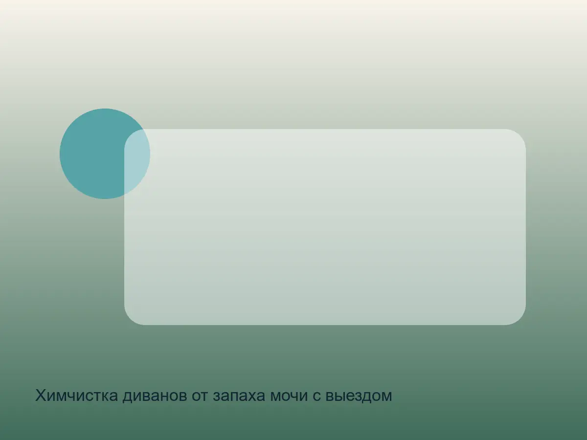 диван до чистки от запаха мочи