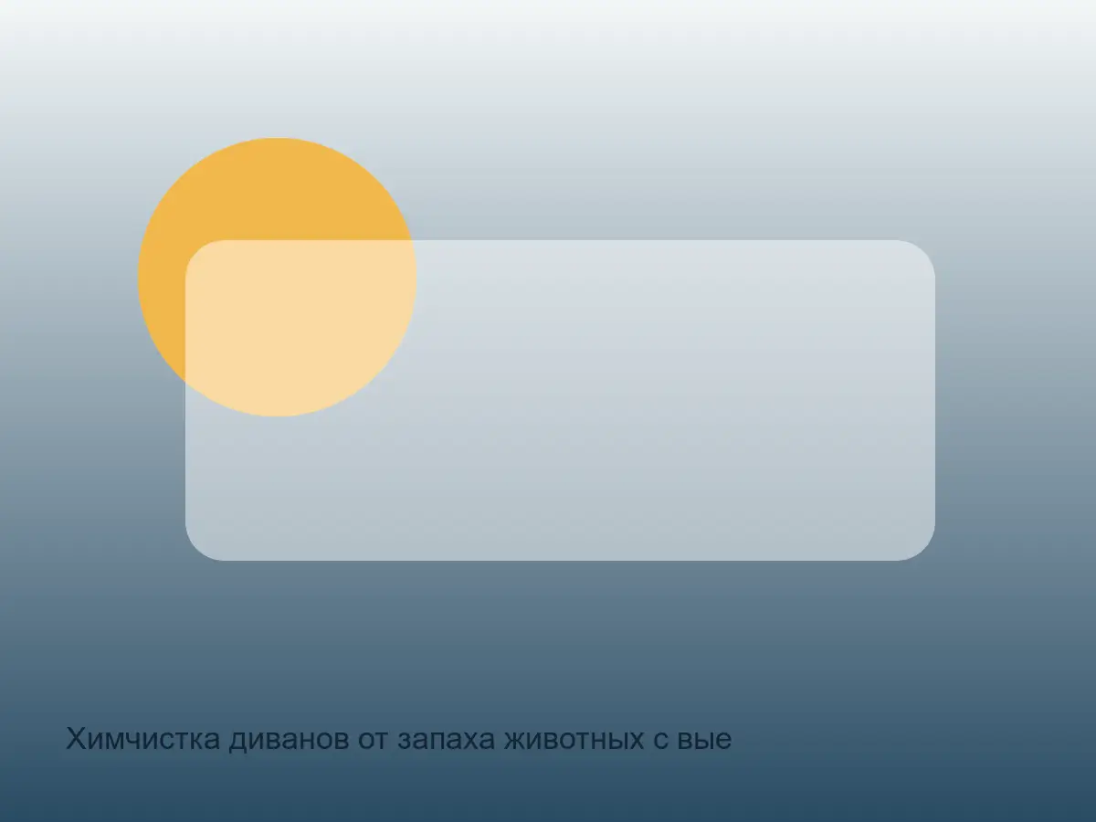 диван после удаления запаха животных