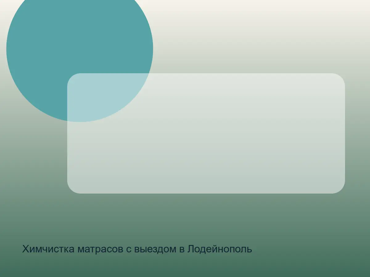матрас после хранения перед чисткой