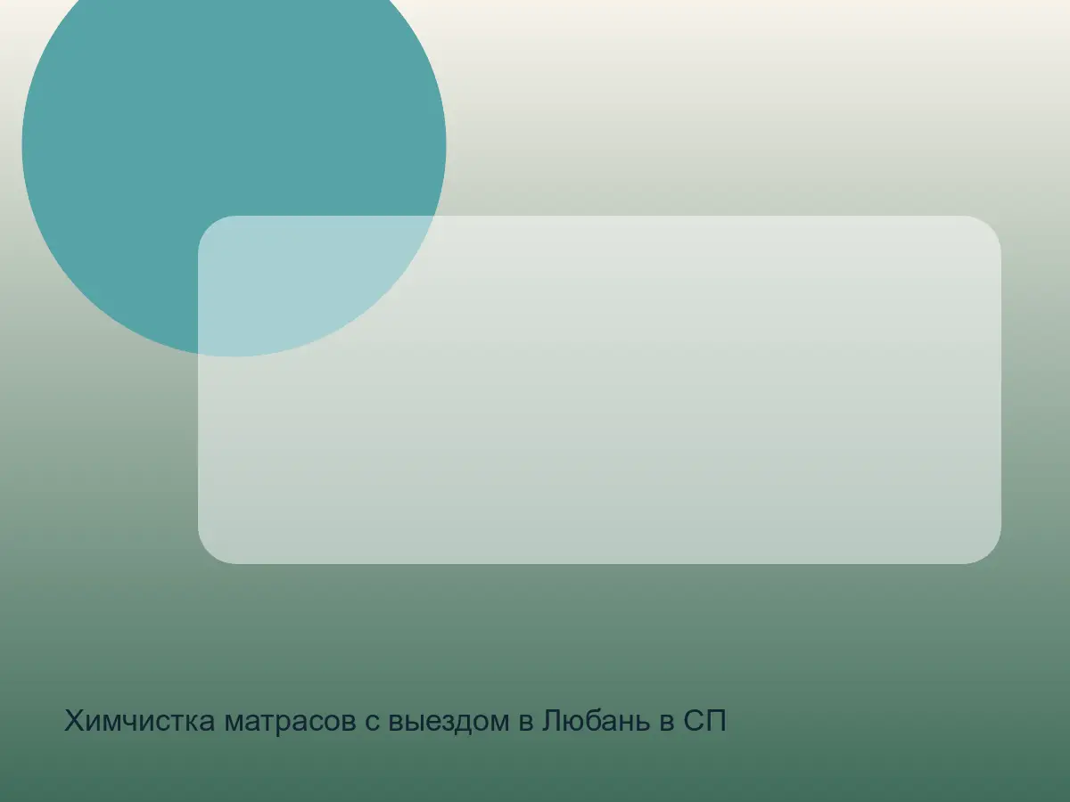 матрас в Любани перед химчисткой