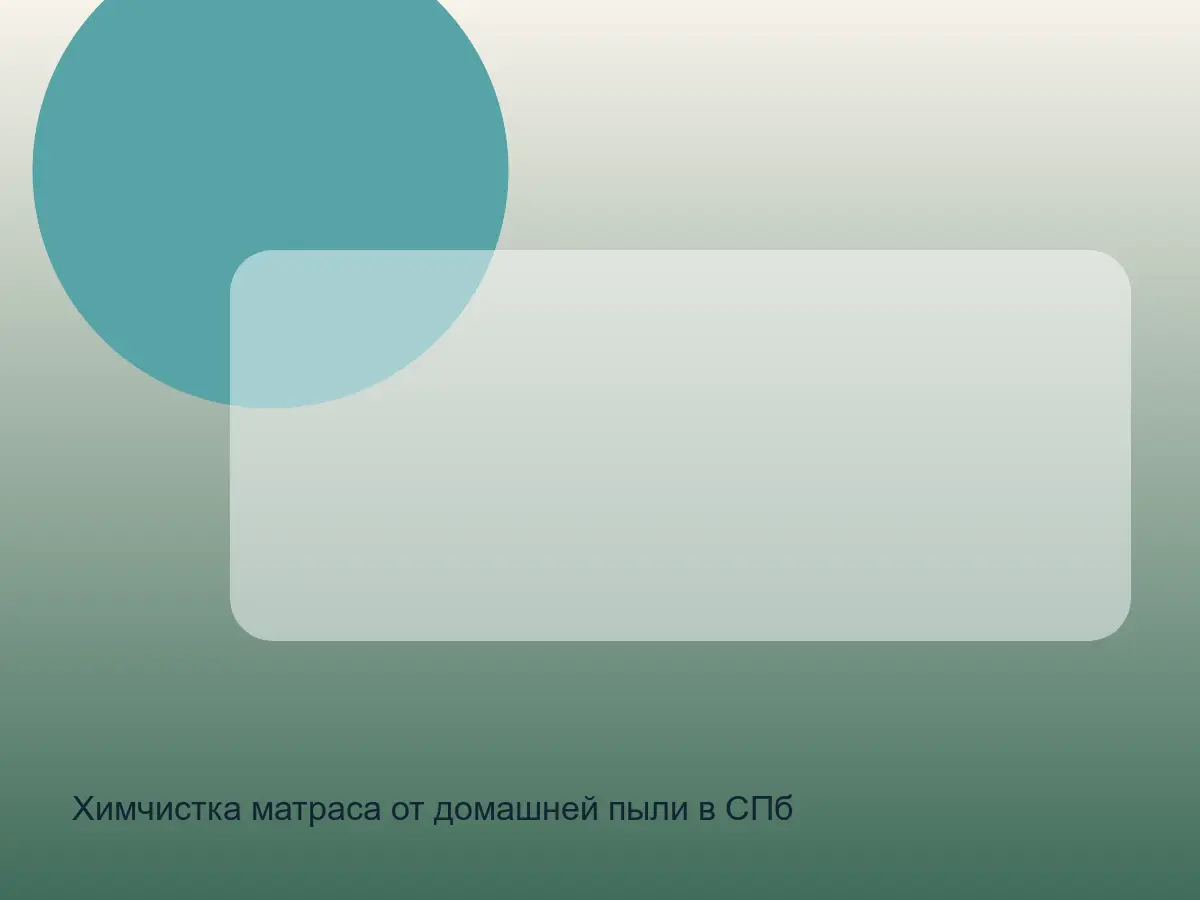 матрас с домашней пылью перед чисткой