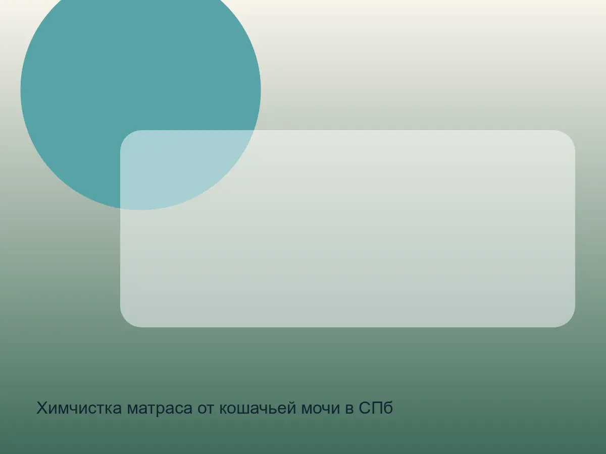 пятно кошачьей мочи на матрасе