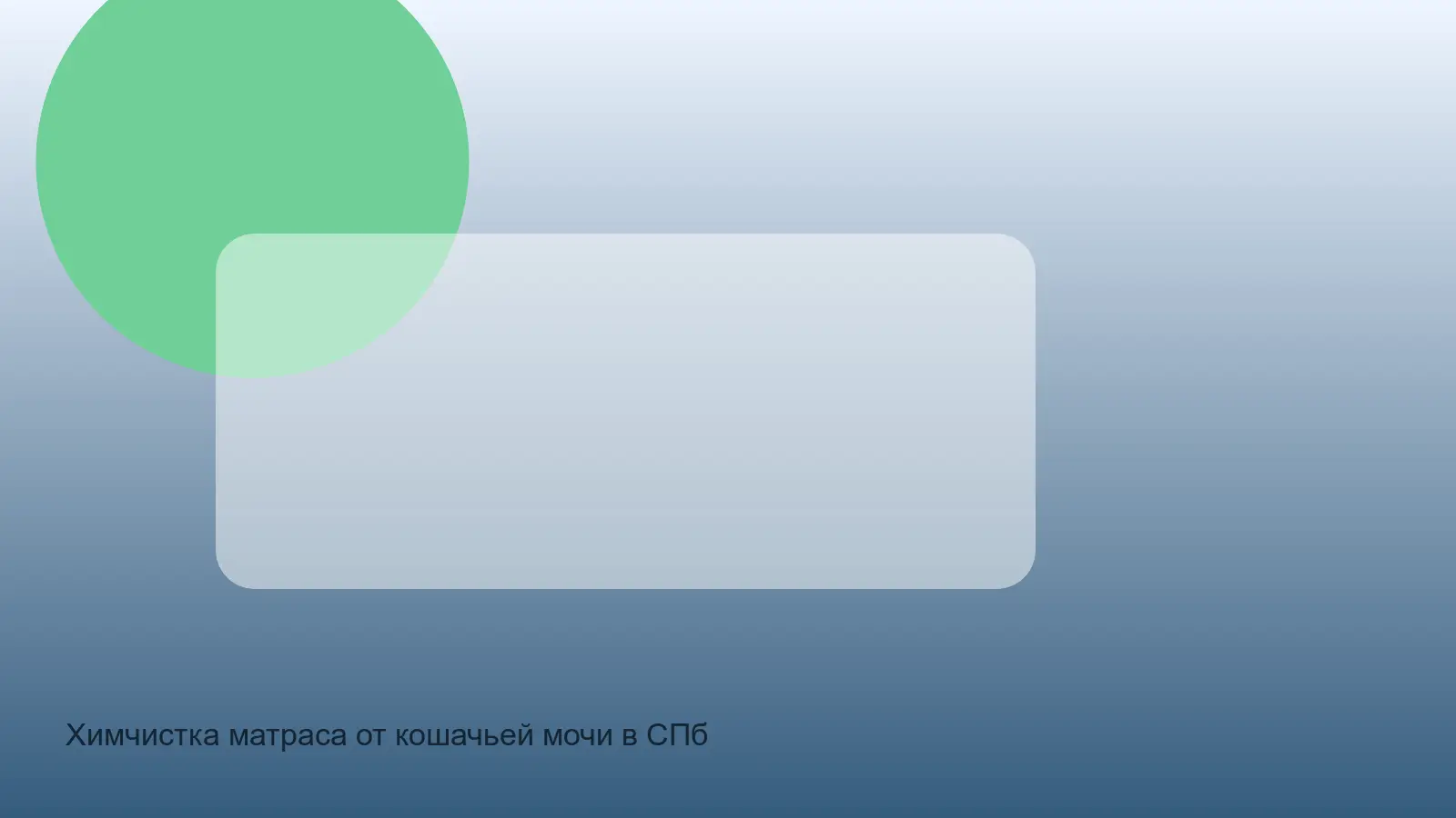 удаление кошачьей мочи с матраса