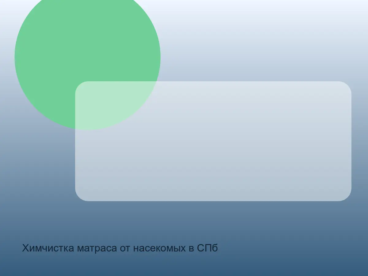 матрас со следами насекомых до химчистки, проверка швов