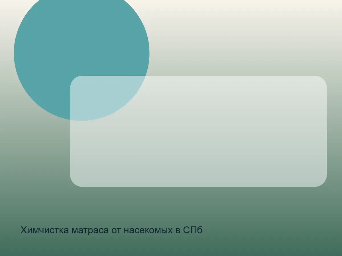 матрас после химчистки от следов насекомых