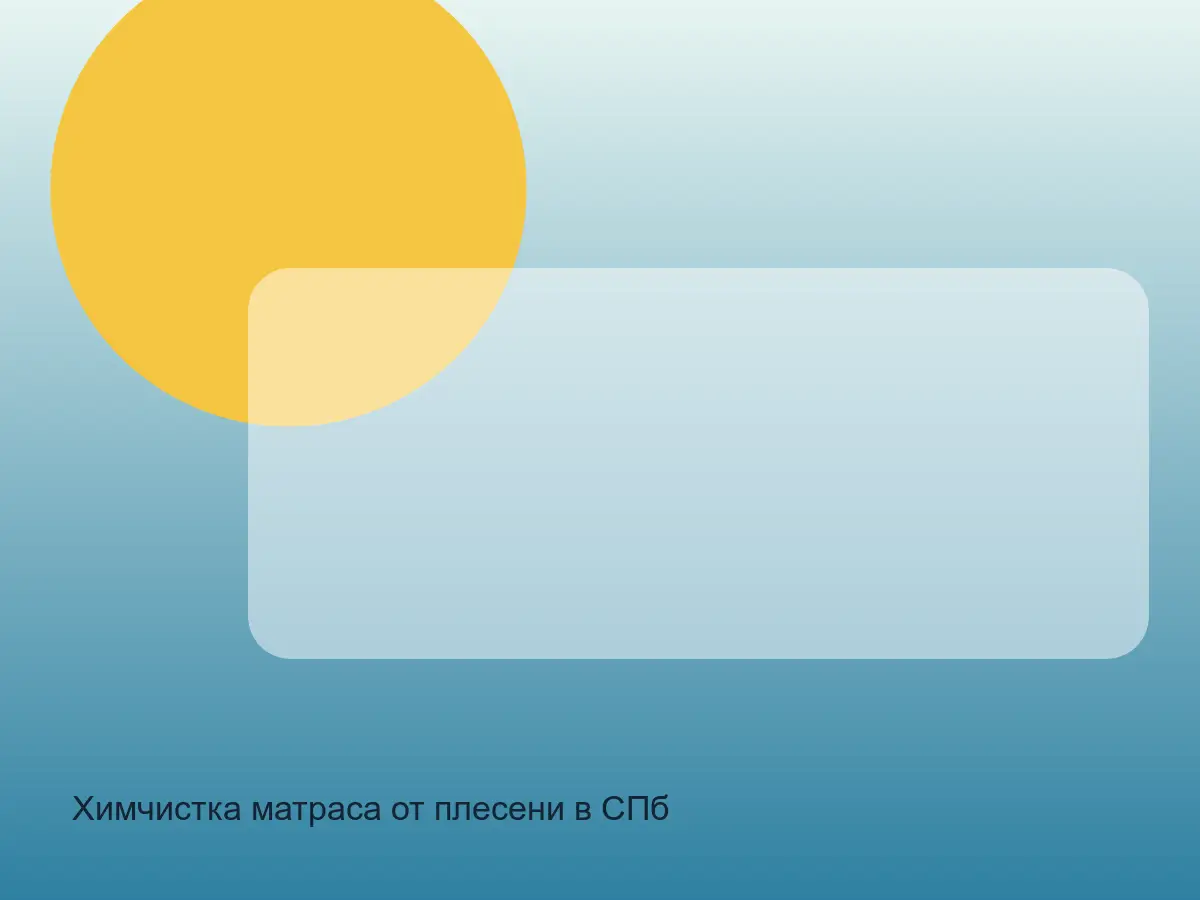 матрас с пятнами плесени перед чисткой