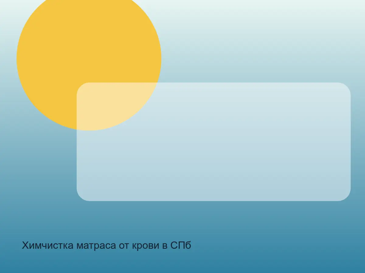 матрас после рвоты перед химчисткой