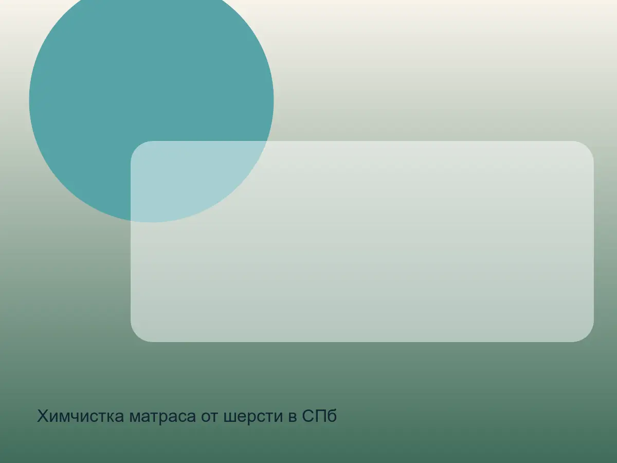 матрас с шерстью животных до химчистки