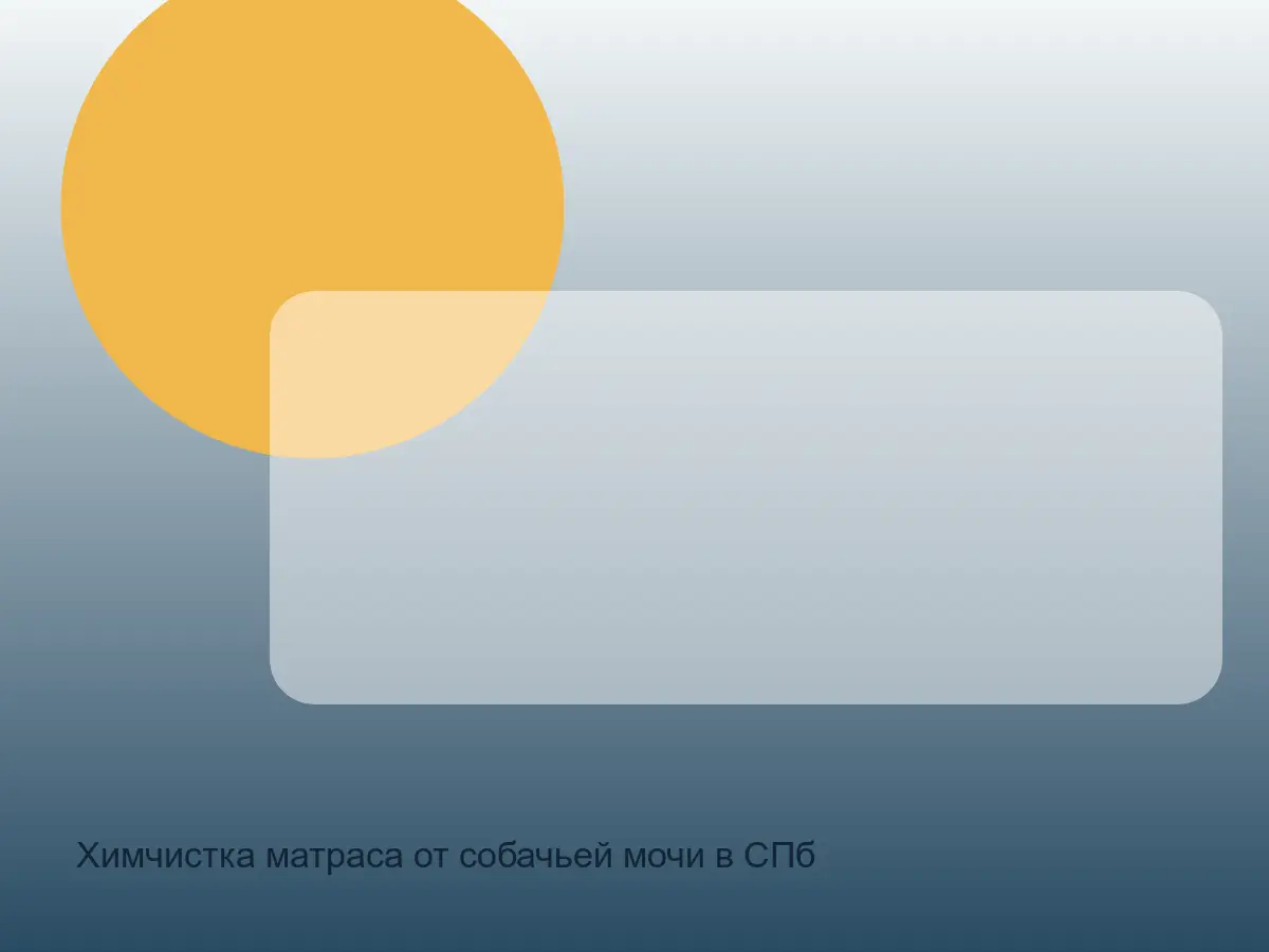 матрас с пятном собачьей мочи до химчистки