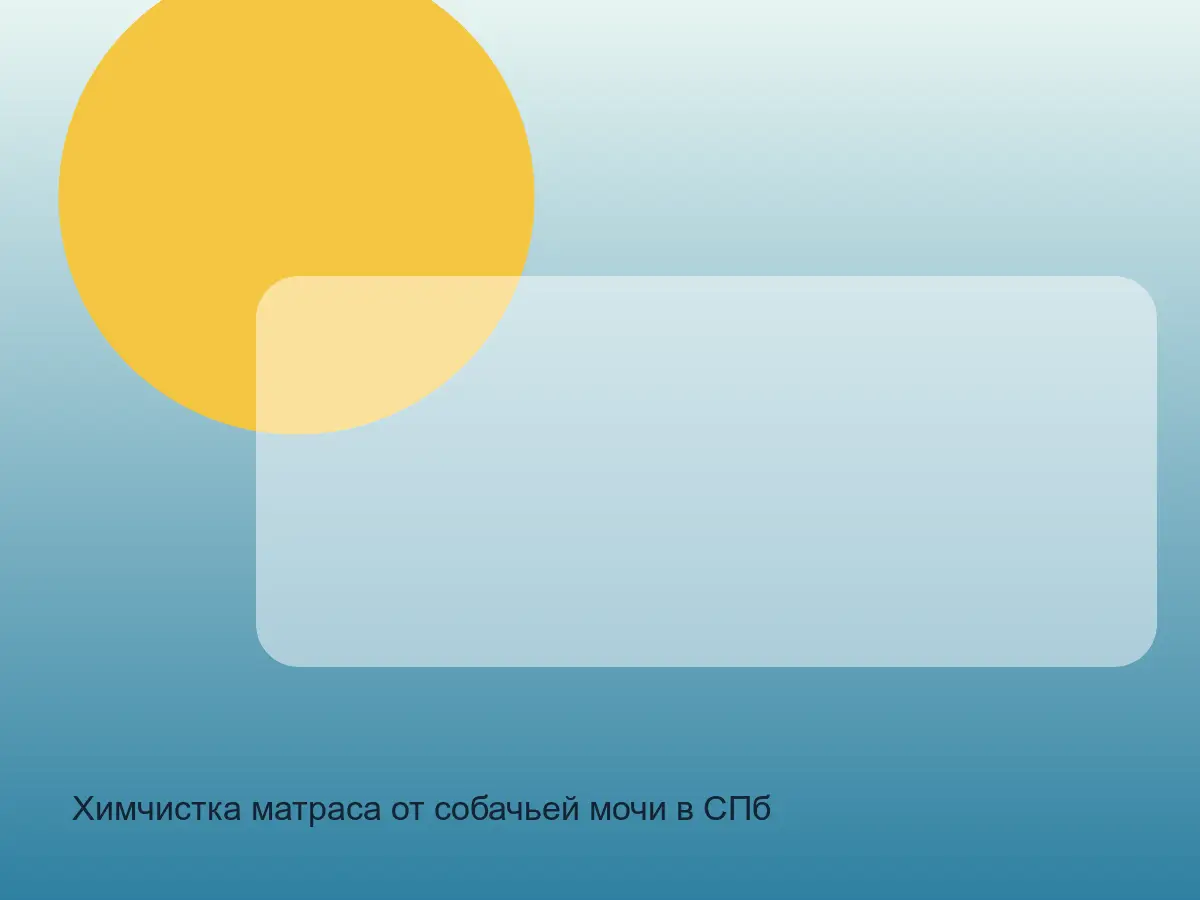 матрас после химчистки от собачьей мочи