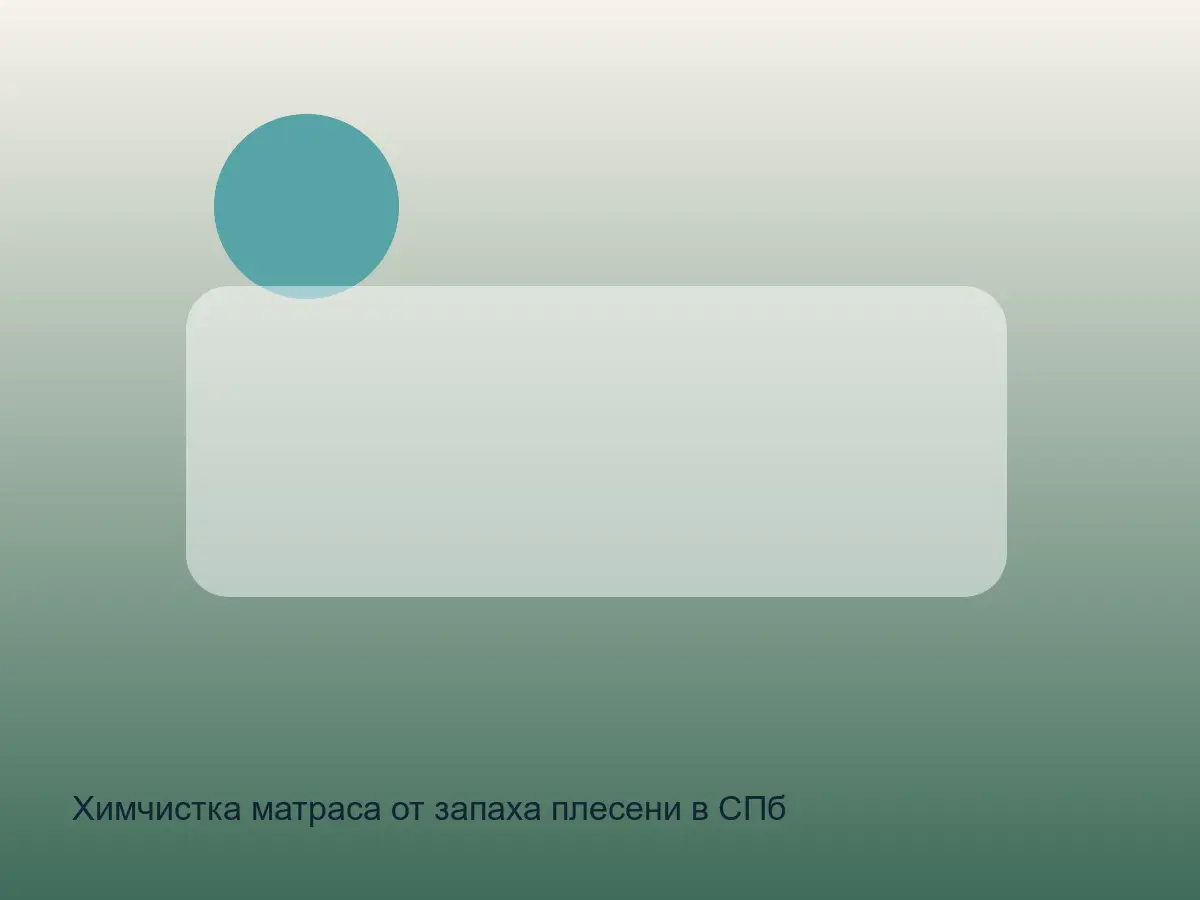 матрас с запахом плесени перед чисткой