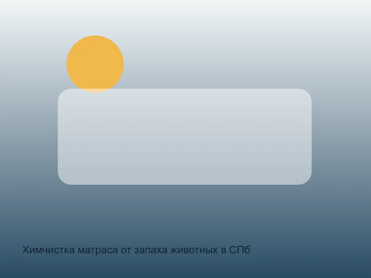 матрас после удаления запаха животных