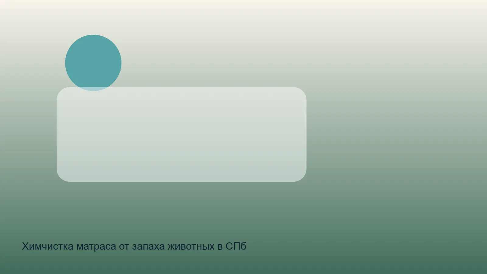 матрас с запахом животных перед чисткой