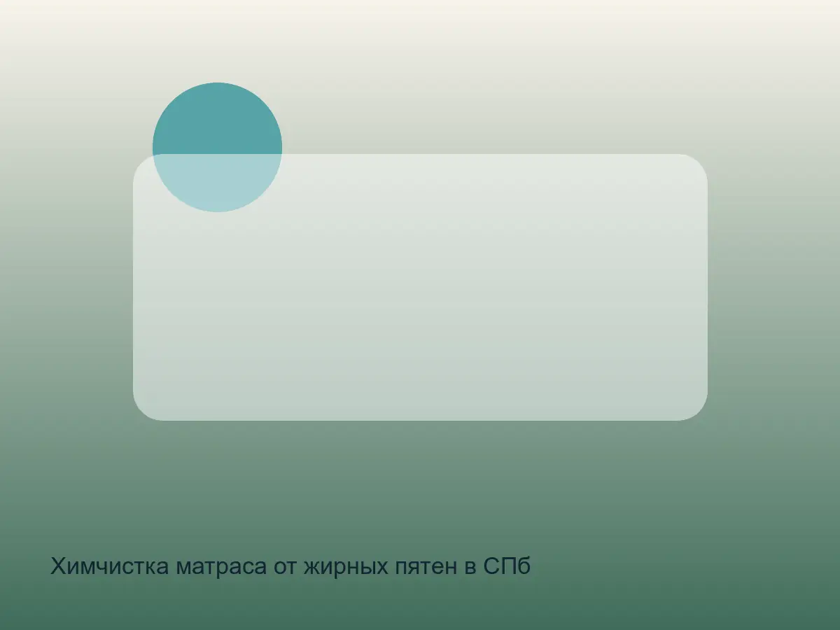 жирное пятно на матрасе перед чисткой