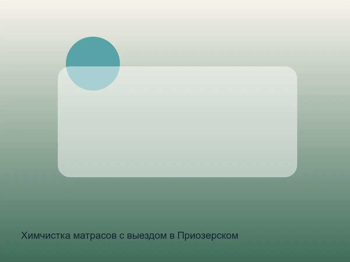 матрас после хранения перед чисткой